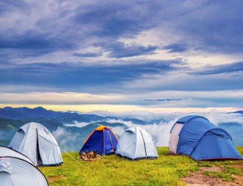 Ranking namiotów